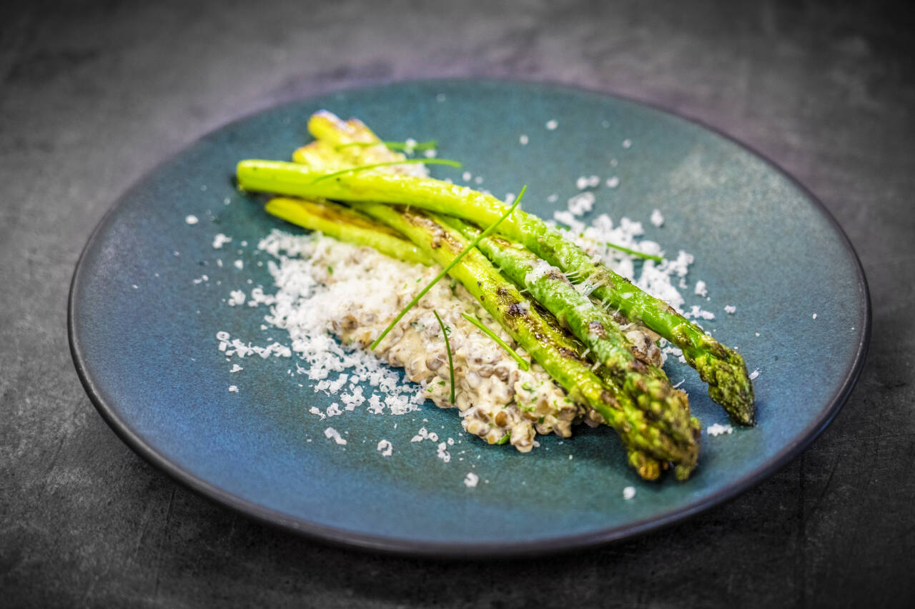 METTENDE SALAT: Vil du unne deg en ekstra god og sunn lunsj, er denne asparges- og linsesalaten et ypperlig valg. Foto: Ole Berg-Rusten / NTB 