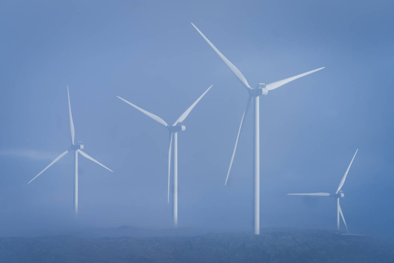 Eolus, selskapet som har fått lov til å bygge det omstridte vindkraftverket på Øyfjellet, mener det er uaktuelt å male rotorblader for å redusere fugledød. Motstanderne av anlegget reagerer på selskapets holding. Foto: Heiko Junge / NTB