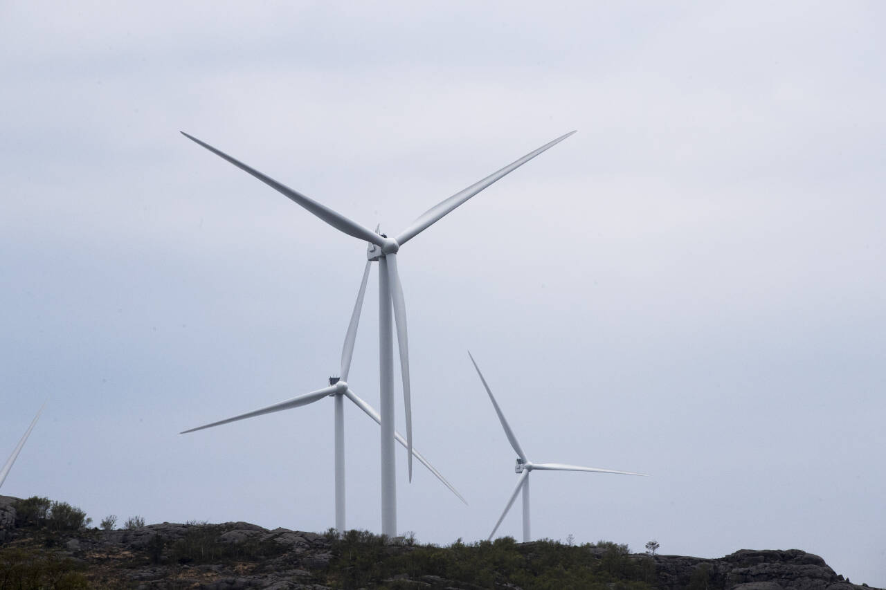 En ny rapport fra Tax Justice Network viser at eierskapet til norsk vindkraft ikke alltid kan spores. Foto: Terje Pedersen / NTB