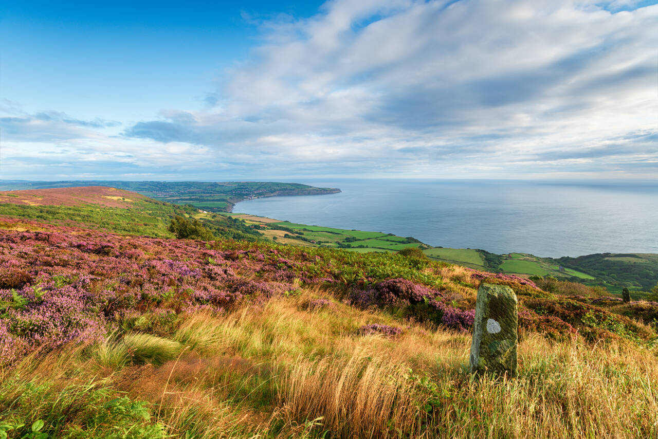 VÆRBITT: Regionen Yorkshire ligger nord i England, og er kjent for ville kystlandskap og lyngheier, historiske slott, grønne åser og øysamfunn med norrøne stedsnavn. Foto: Shutterstock / NTB