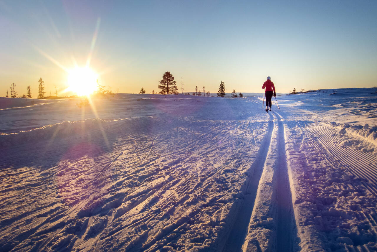 Under halvparten av de spurte tror de kommer til å dra vekk fra hjemmet i årets påske. Dette bildet er tatt i Selbu tidligere i år. Foto: Gorm Kallestad / NTB