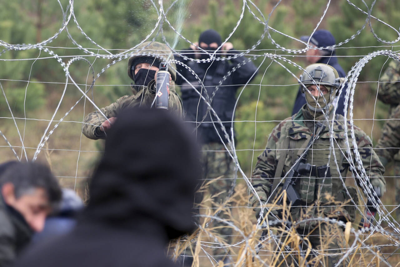 Polske grensevakter passer piggtrådgjerdet som er satt opp på grensen mellom Hviterussland og Polen. Foto: Leonid Shcheglov/BelTA via AP/NTB