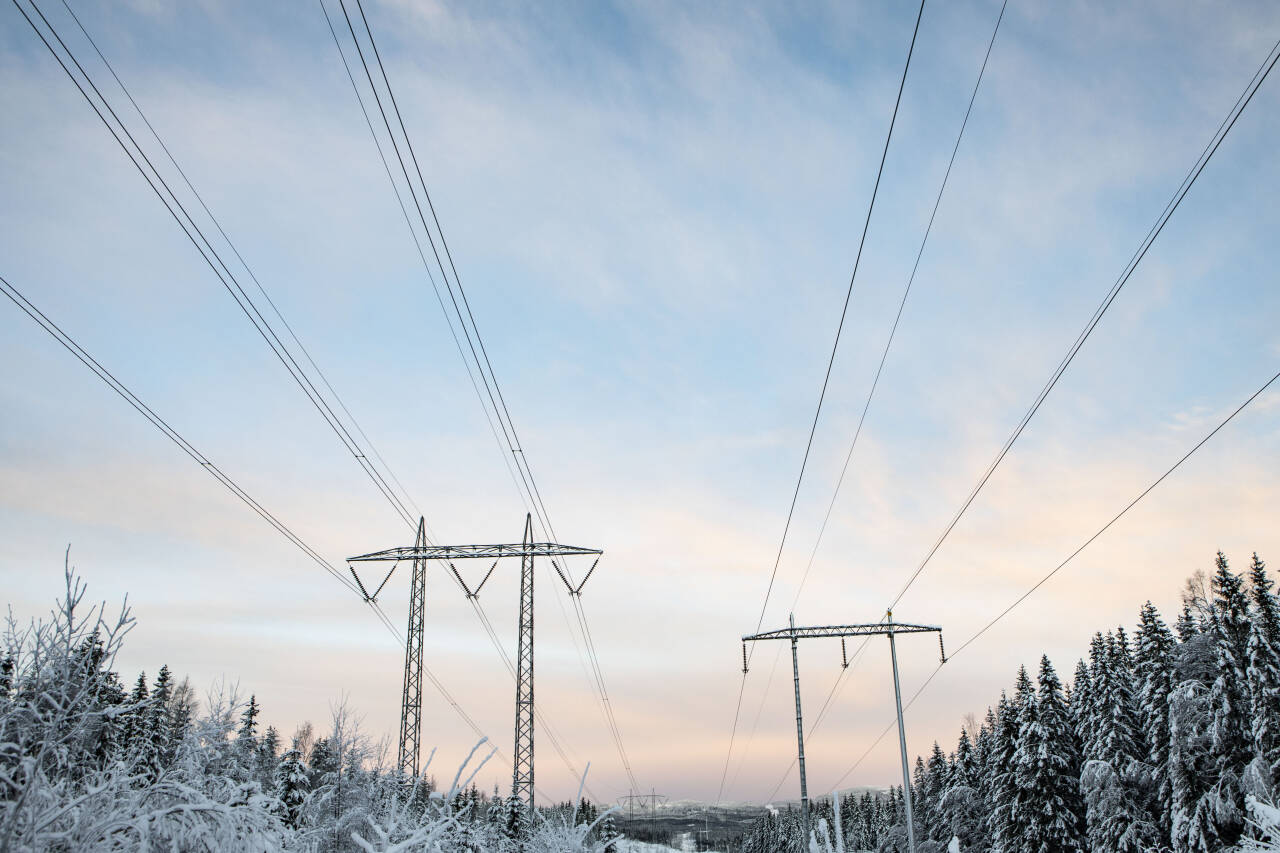 Prisen på strøm vil være rekordhøy i hele Sør-Norge mandag morgen. Her en høyspentledning på den såkalte Vinstralinja i Lillomarka i Nittedal. Kraftledningen går fra Vinstra i Gudbrandsdalen til Oslo. Foto: Paul Kleiven / NTB
