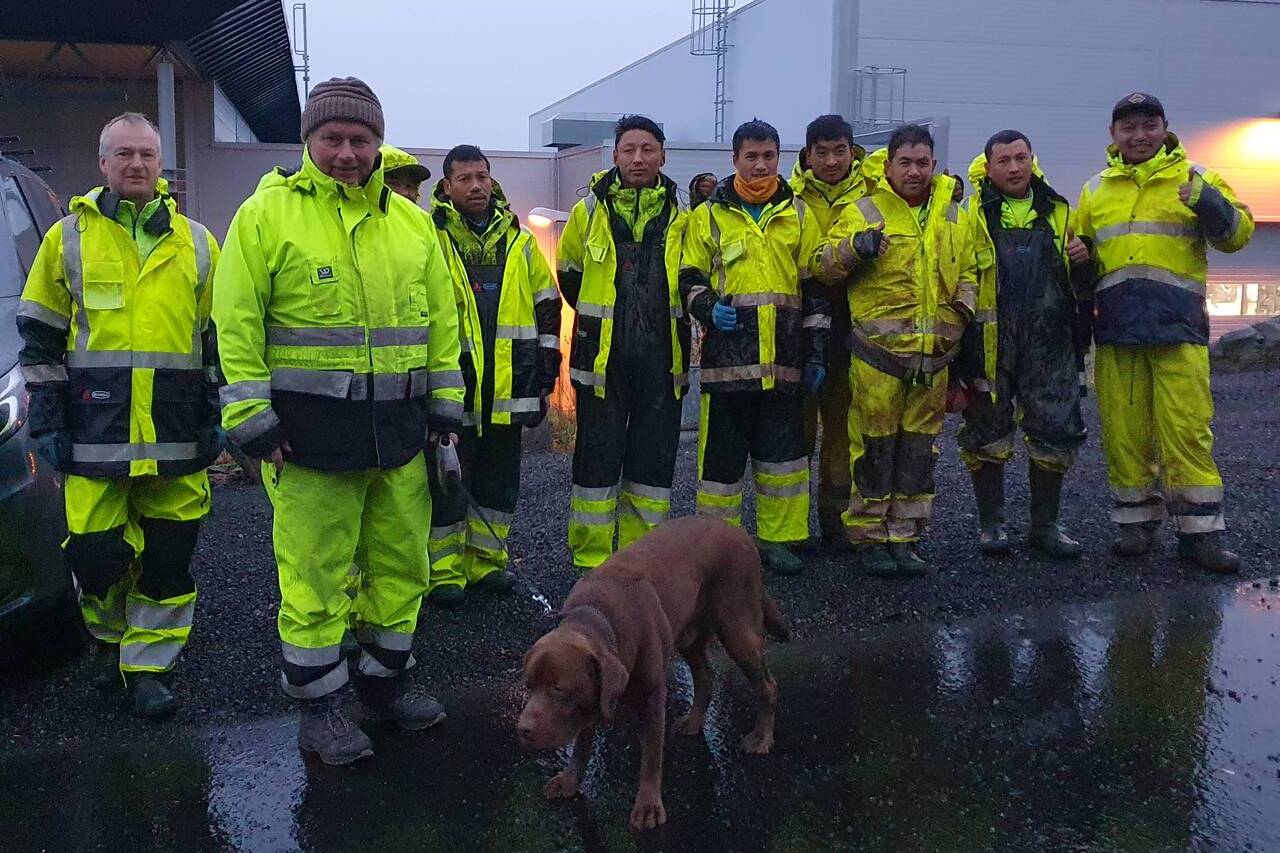 Bygging av trapp opp Kvernberget starter onsdag 20. oktober. Foto: Kristiansund kommune