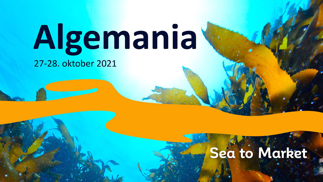 Algemania arrangeres 27. og 28. oktober 2021. Foto: Møreforsking