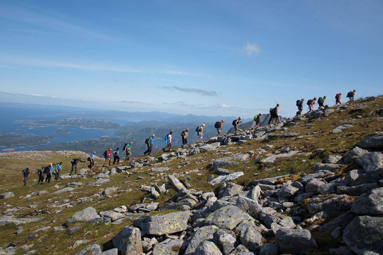 Skarven på Tustna. Foto: Kari Nergård