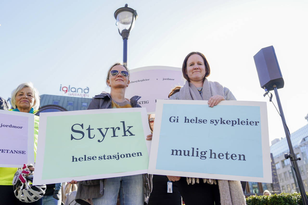 Femihelse, Barselopprøret og Bunadsgeriljaen var blant organisasjonene som demonstrerte utenfor Stortinget onsdag. Foto: Håkon Mosvold Larsen / NTB