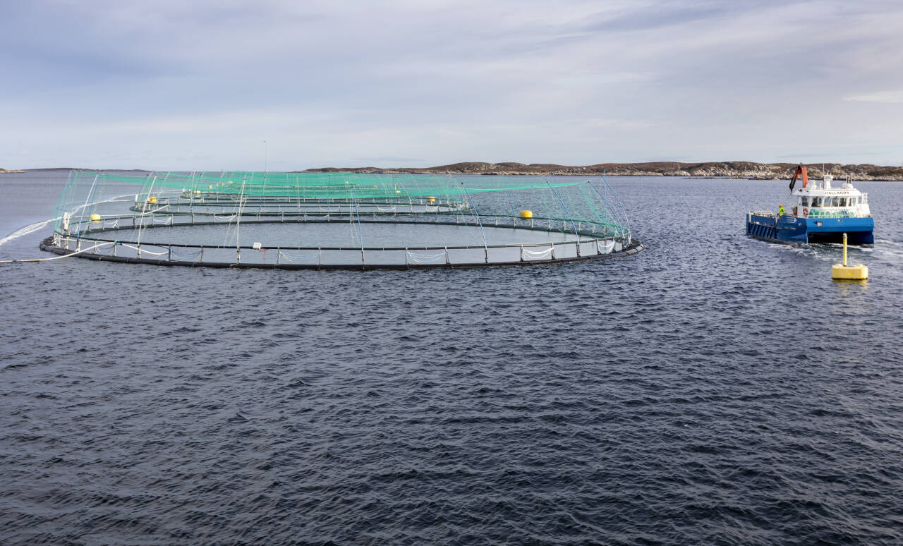 Nå innføres det endringer i havbruksregelverket som skal øke bærekraften. Her et av SalMars lakseoppdrettsanlegg Frohavet på trøndelagskysten fotografert i 2018. Foto: Gorm Kallestad / NTB