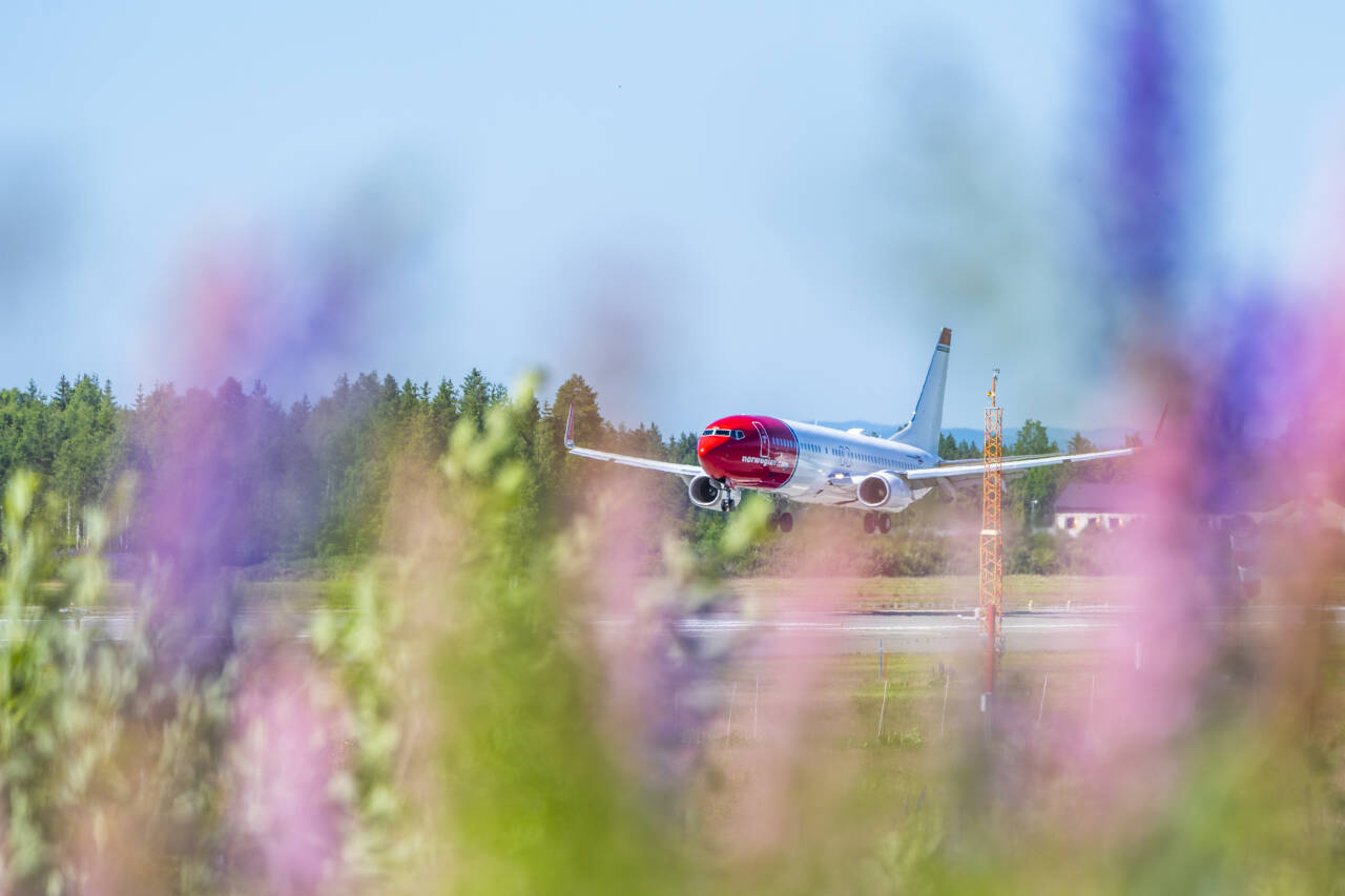 Et fly fra Norwegian går inn for landing i starten av sommerferien. Økt etterspørsel etter to år med lammende pandemi, sørget for en kraftig økning i flyselskapets resultat for andre kvartal. Foto: Håkon Mosvold Larsen / NTB