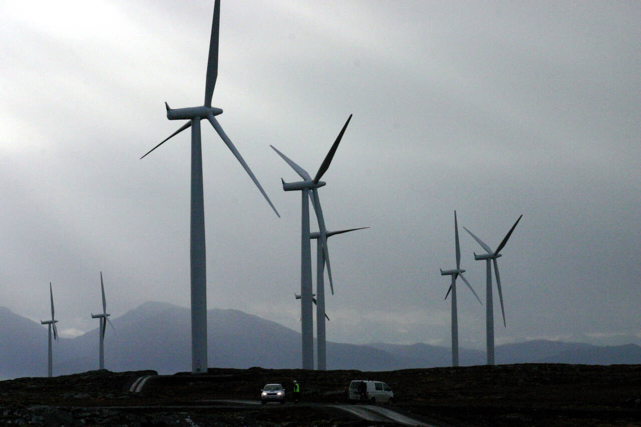 NVE krever tiltak ved vindturbinene i Smøla vindkraftverk for å få ned risikoen for fuglekollisjoner. Arkivfoto: Kjell Herskedal / NTB