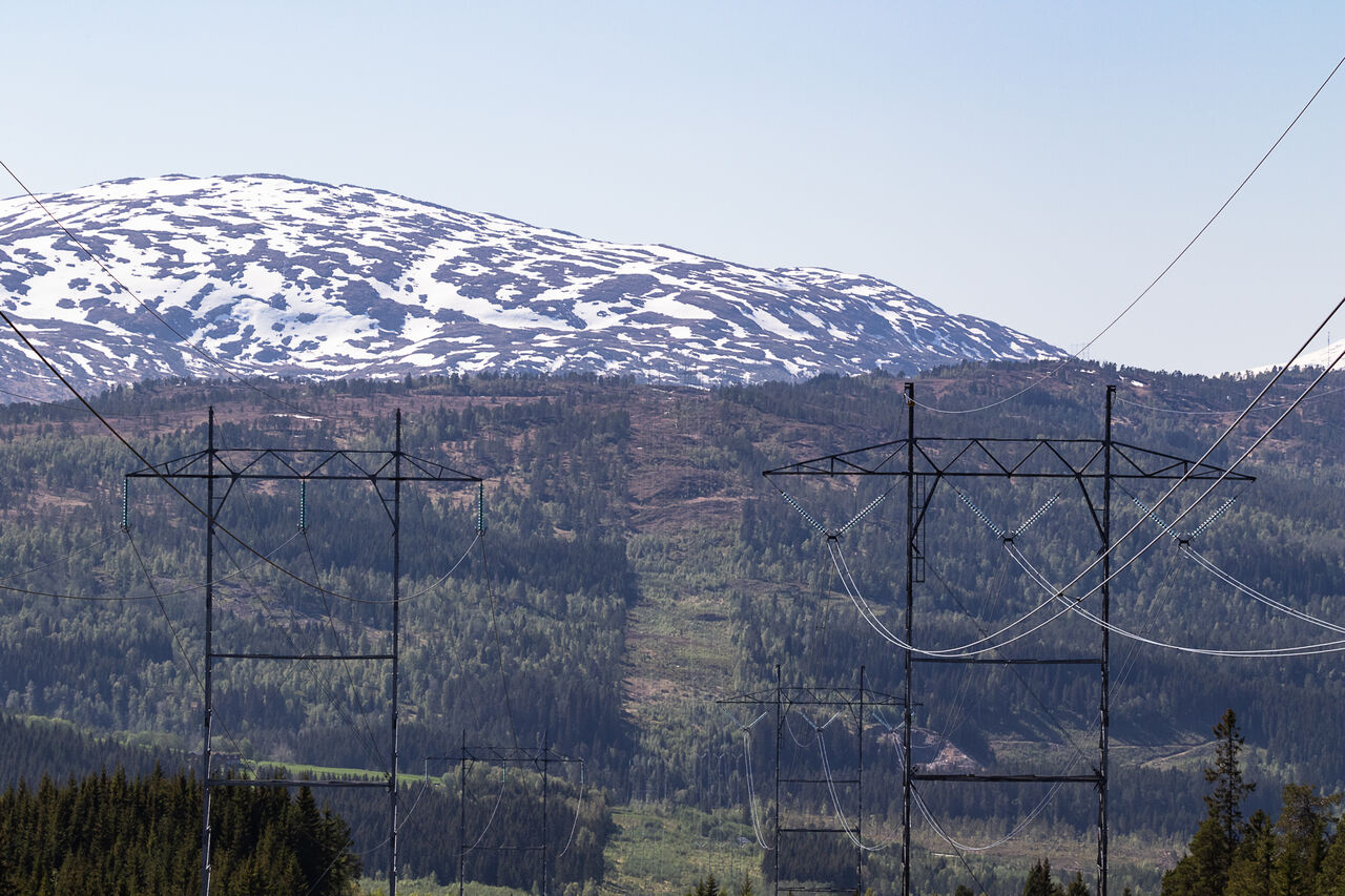 Illustrasjonsfoto: Steinar Melby / NettStudio