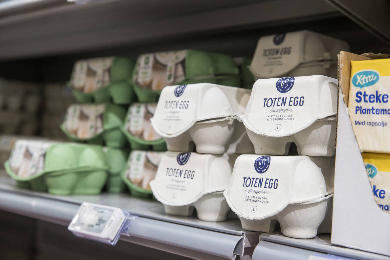 Norsk næringsliv og flere organisasjoner frykter at EUs nye eggregel vil svekke den geografisk spredte eggproduksjonen i Norge og dessuten øke matsvinnet. Illustrasjonsfoto: Terje Pedersen / NTB