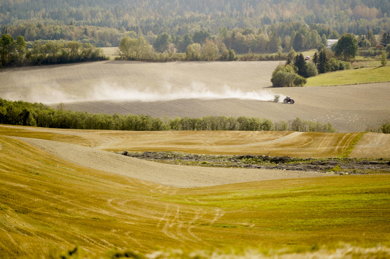 Økte strøm- og drivstoffpriser slår kraftigere ut i Distrikts-Norge, slår Ruralis fast. Illustrasjonsfoto: Stian Lysberg Solum / NTB