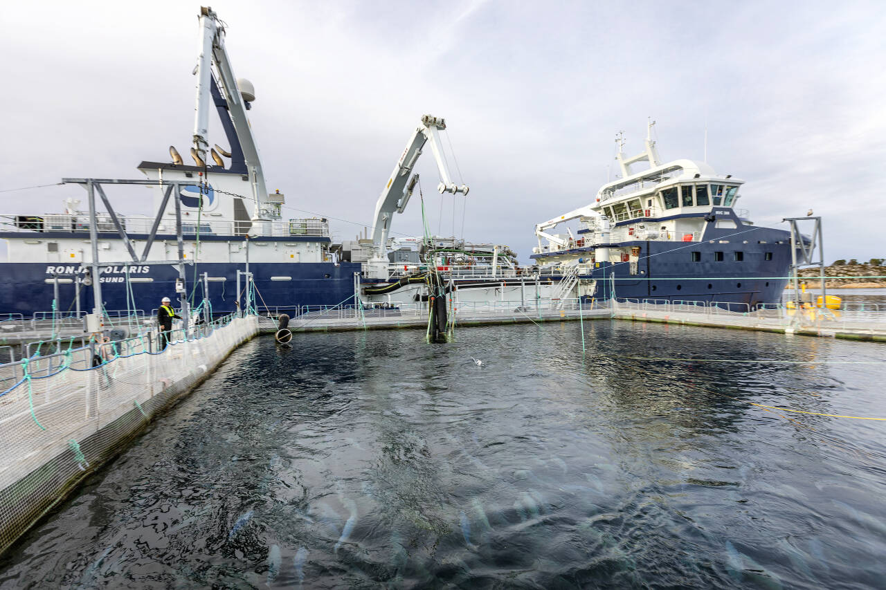 Foto: Gorm Kallestad / NTB