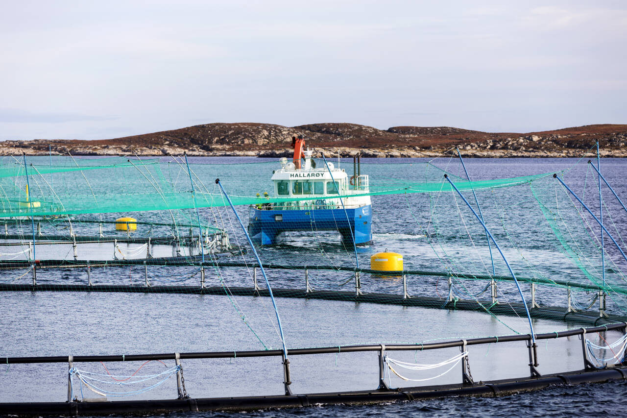 Bilde tatt av Salmars anlegg på Frøya i 2018. Foto: Gorm Kallestad / NTB