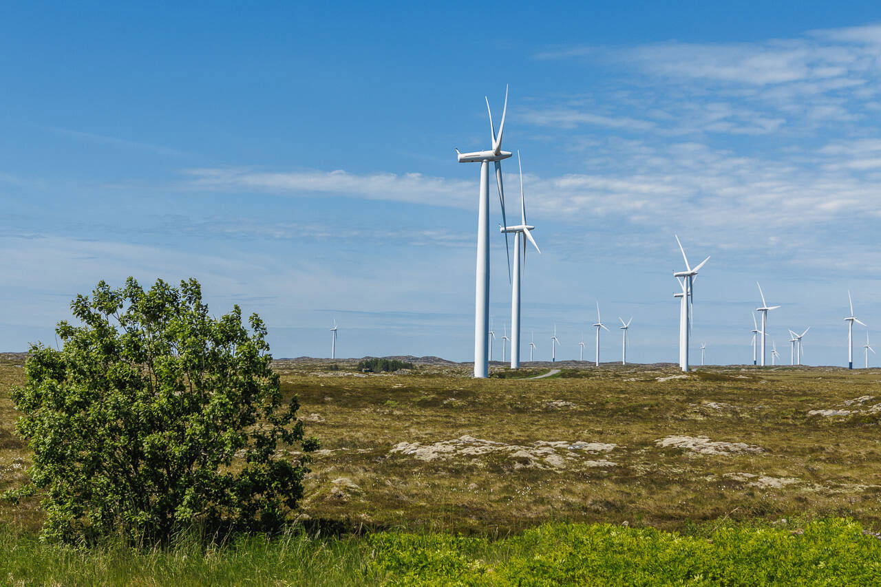 Møre og Romsdal fylkeskommune har tatt initiativ til å kartlegge muligheter og interesse for en større solenergipark på Smøla. Tanken er å benytte det samme arealet som i dag er brukt til vindturbiner. Foto: Kurt Helge Røsand / KSU.NO