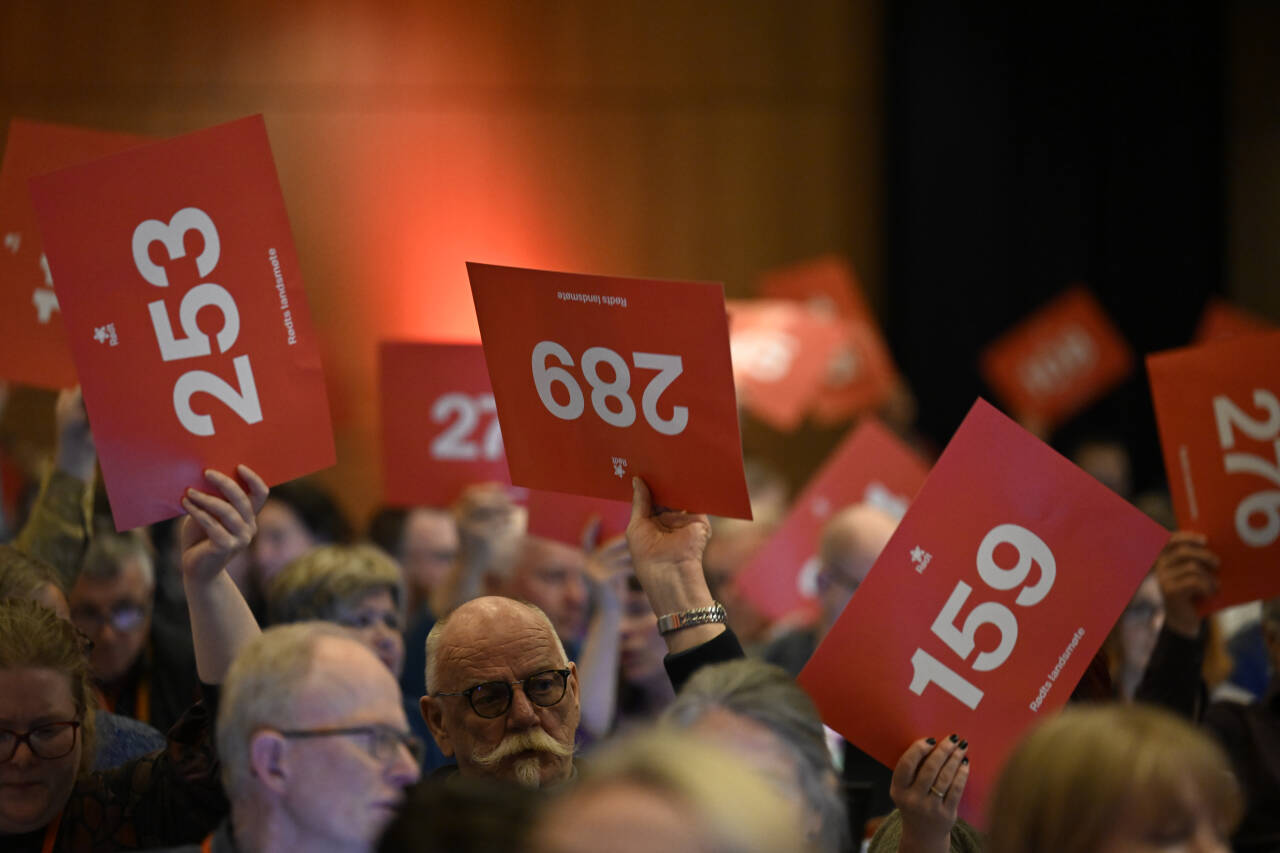 Et stort flertall på Rødts landsmøte går inn for en ny abortlov uten abortnemnder. Foto: Carina Johansen / NTB