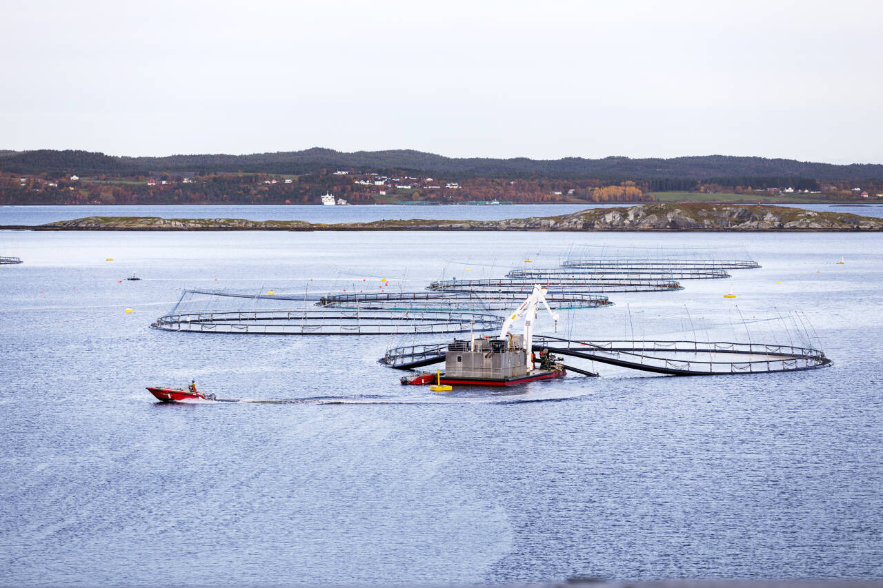 Anlegg for lakseoppdrett med spesialbåter for fiskeoppdrett utenfor Hitra, på trøndelagskysten. Foto: Gorm Kallestad / NTB