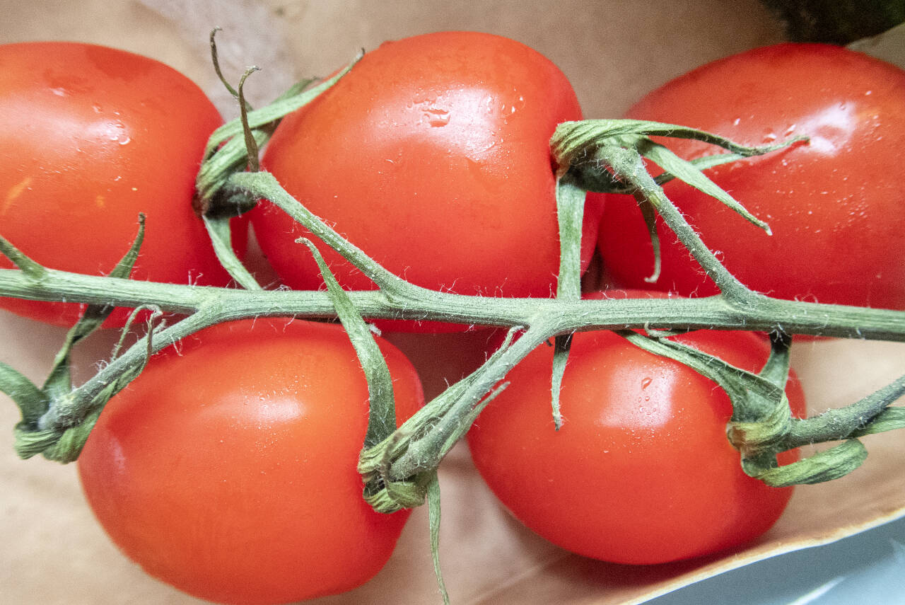 Siden 2021 har prisen på tomater økt med 48 prosent. Foto: Gorm Kallestad / NTB