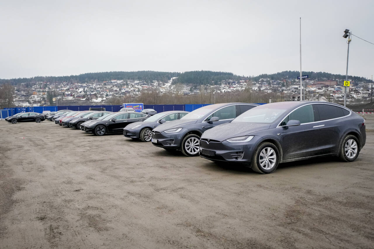 Tesla setter ned prisene på flere av sine bilmodeller. Foto: Fredrik Hagen / NTB