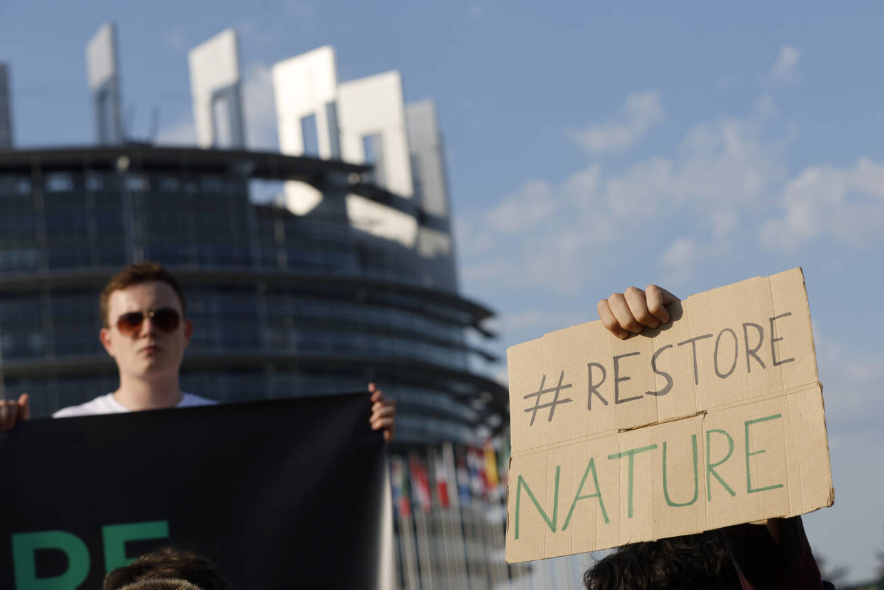 Klimaaktivister demonstrerer utenfor EU-parlamentet til støtte for EUs naturmangfoldlov som har fått uventet motstand. EU-parlamentet stemmer over loven onsdag. Foto: Jean-François Badias/AP/NTB                                                  