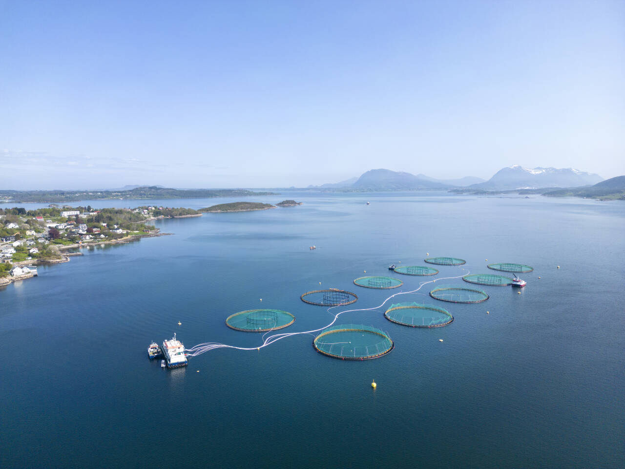 Især kineserne har etterspurt norsk laks i mai. Oppdrettsanlegg i havet ved Aukrasanden. Det er Mowi Seawater Norway As som har anlegget. Foto: Gorm Kallestad / NTB