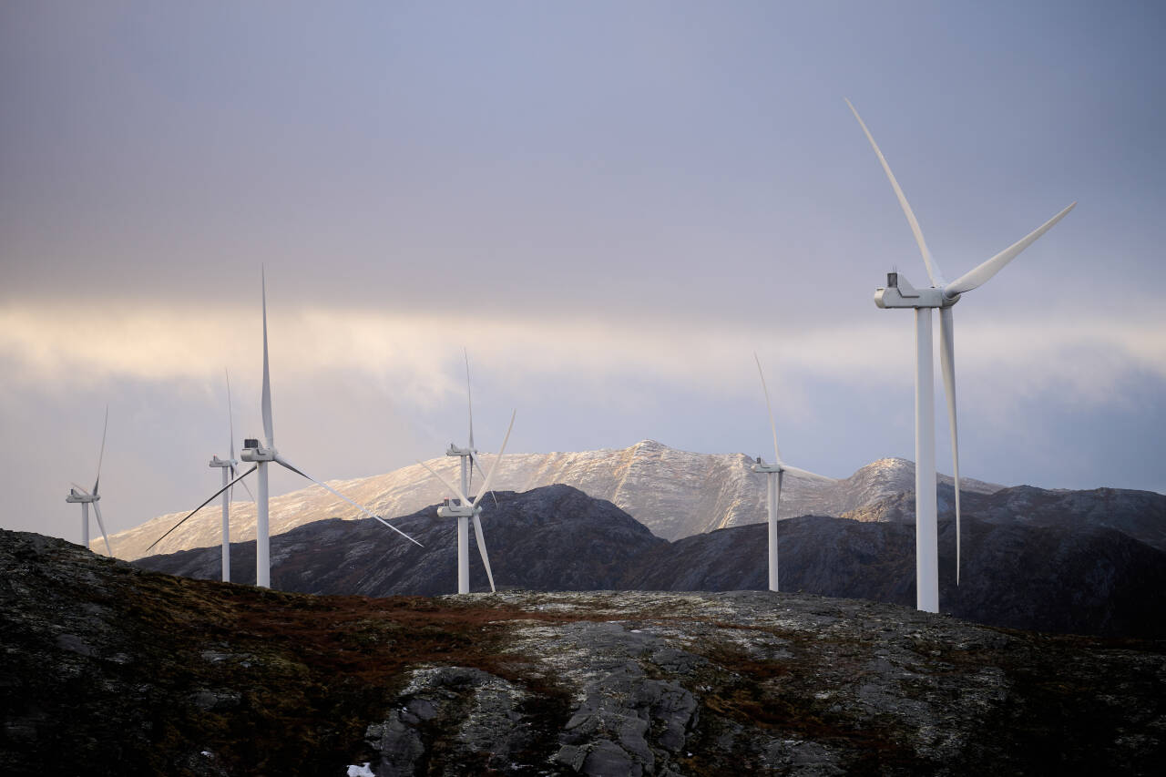 De omstridte vindturbinene på Roan vindkraftverk på Fosen i Trøndelag.Foto: Ole Martin Wold / NTB