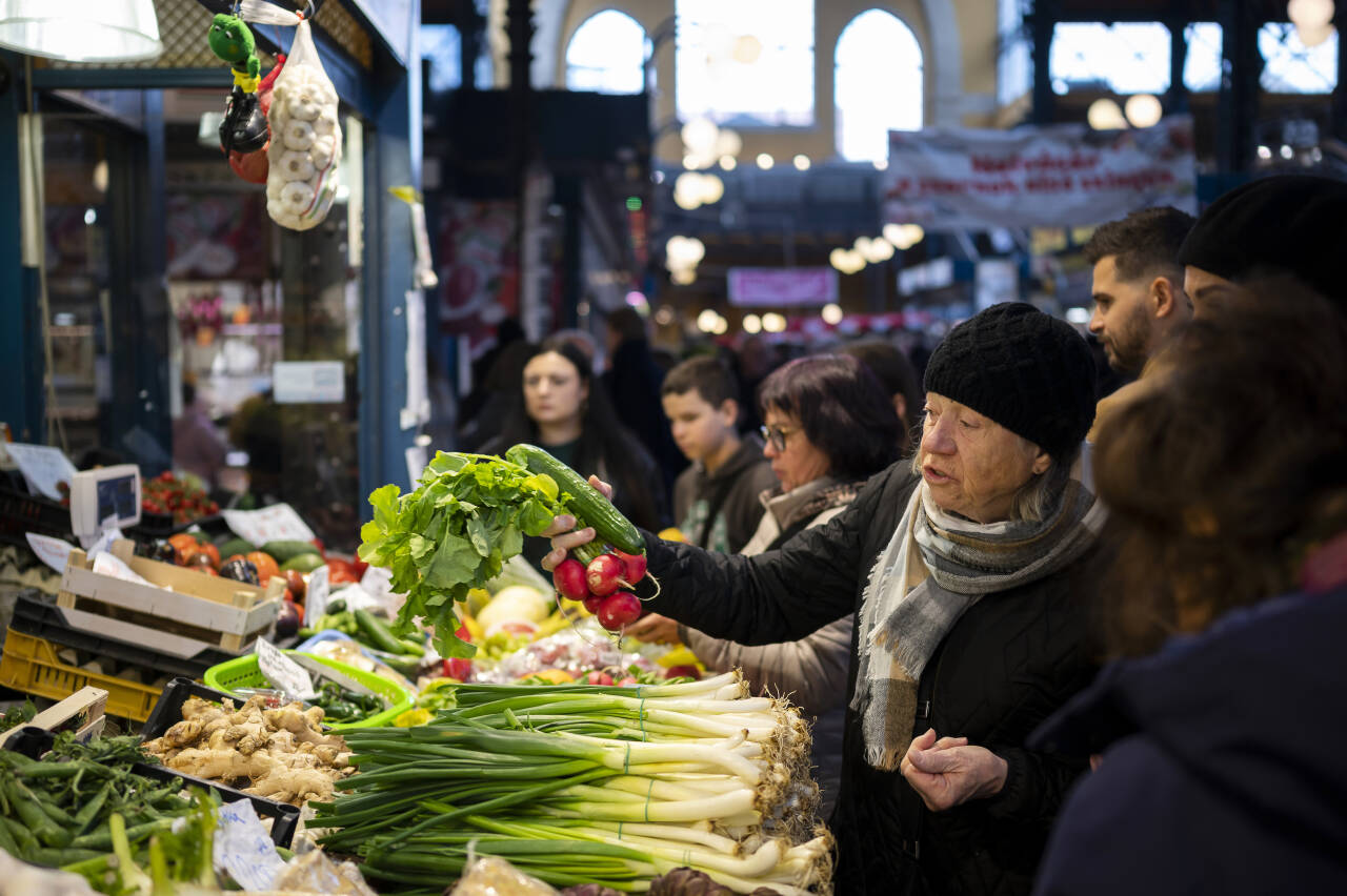 Kunder handler i den store markedshallen i Budapest. I mars hadde matvareprisene steget med 45 prosent sammenlignet med nivået ett år tidligere. Foto: Denes Erdos / AP / NTB
