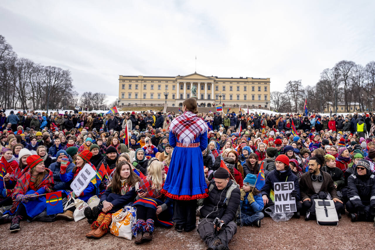 Aksjonister protesterte i vinter i Oslo mot vindturbinene på Fosen. Først om et år kan en ny utredning om saken være klar. Foto: Javad Parsa / NTB