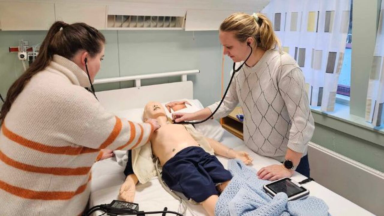 Praksisveiledere i sykepleie øver seg på pasientsimulator. Foto: HiM