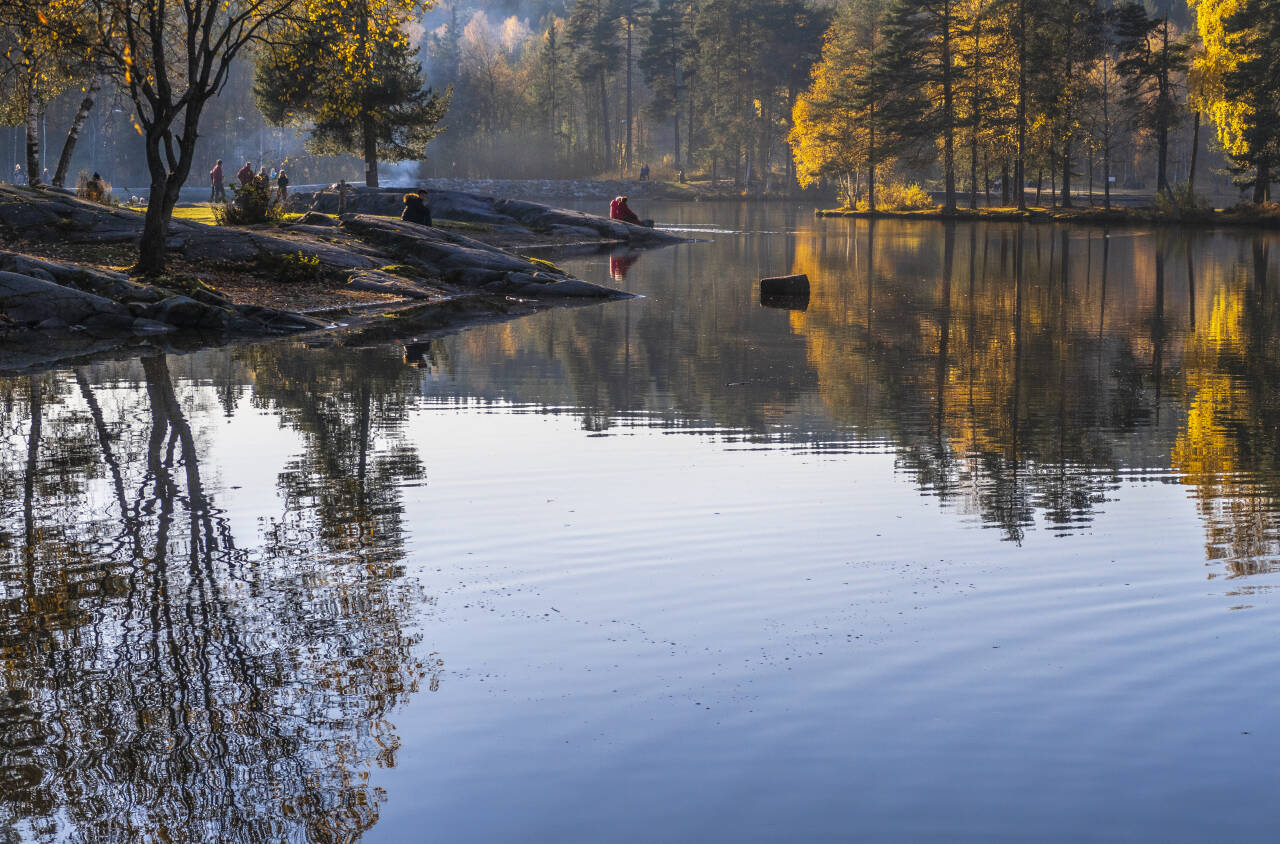 Det er meldt «godt vær» i store deler av landet resten av uken på grunn av et høytrykk over Nordland og Trøndelag. Bildet er fra en høstdag ved Sognsvann i Oslo. Arkivfoto: Halvard Alvik / NTB