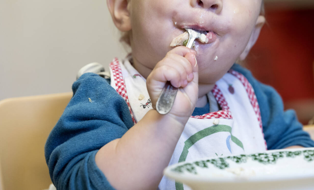 Landbruksministeren håper det nye byrådet i Oslo skroter det utgående byrådets kjøttstopp i barnehagene i Oslo. Foto: Gorm Kallestad / NTB