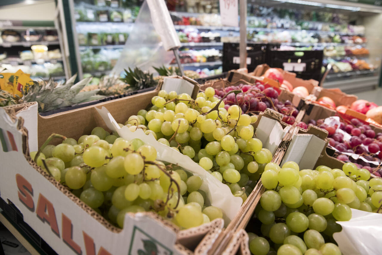 Hyller med frukt og grønt på Coop på Skøyen i Oslo. Illustrasjonsfoto: Terje Pedersen / NTB