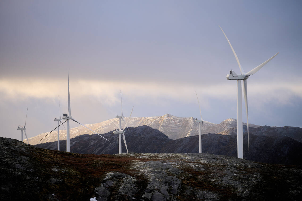 Onsdag er det to år siden Høyesterett fastslo at byggingen av to vindkraftanlegg på Fosen er et brudd på menneskerettighetene til reindriftssamene. Foto: Ole Martin Wold / NTB