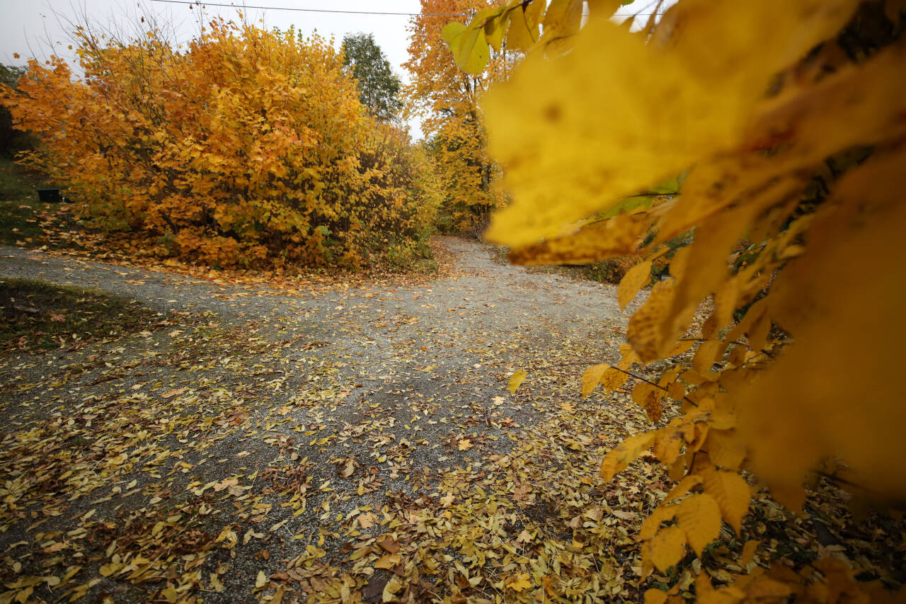 Naf advarer MC-førere om at høsten fører med seg glatte veipartier. Illustrasjonsfoto: Ørn Borgen / NTB