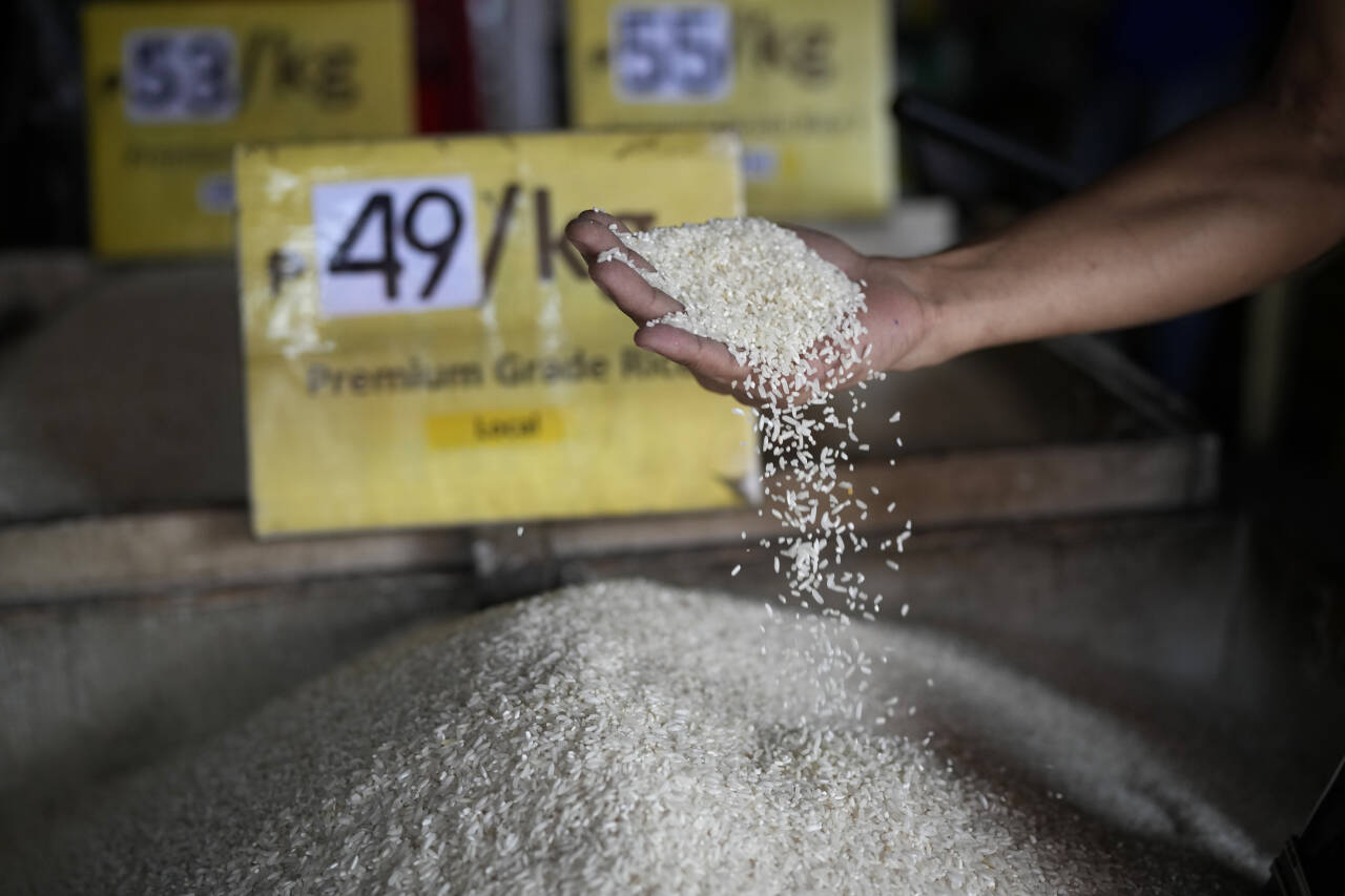 En mann sjekker ris i en butikk i Quezon i Filippinene. Indias eksportforbud har ført til at prisene på ris har økt kraftig. Land over hele verden kjemper for å sikre seg risforsyninger. Foto: Aaron Favila / AP / NTB