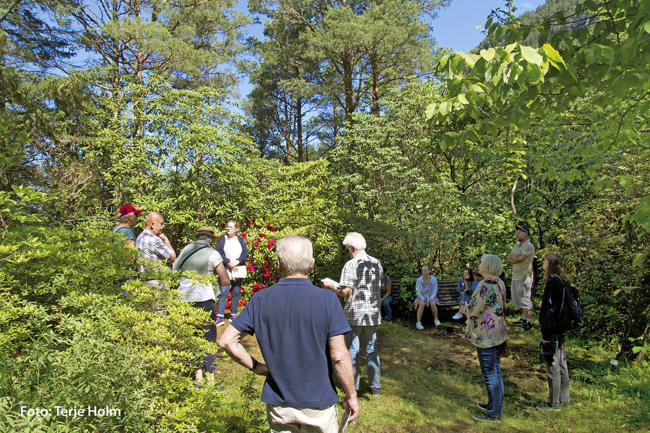 Svinviks arboret. Foto: Terje Holm