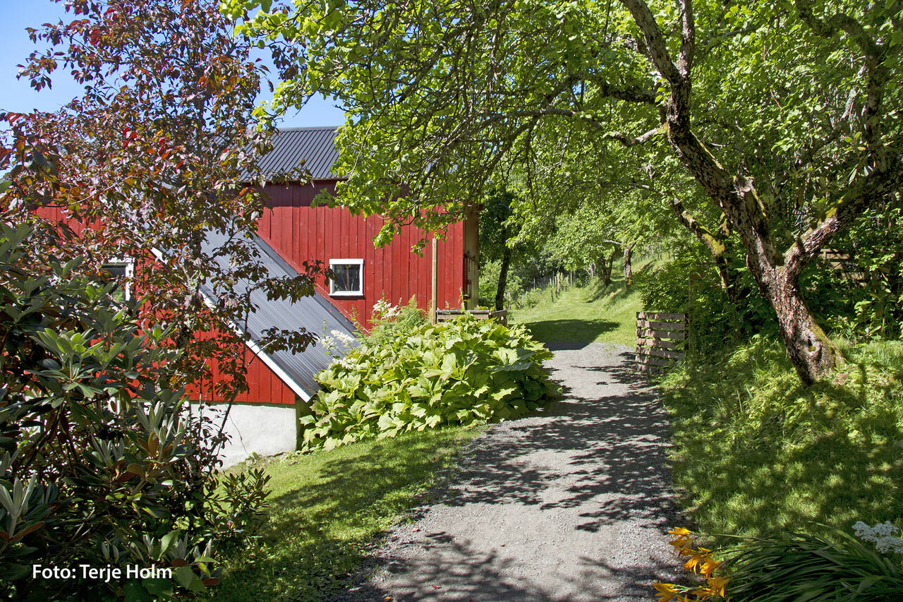 Svinviks arboret. Foto: Terje Holm