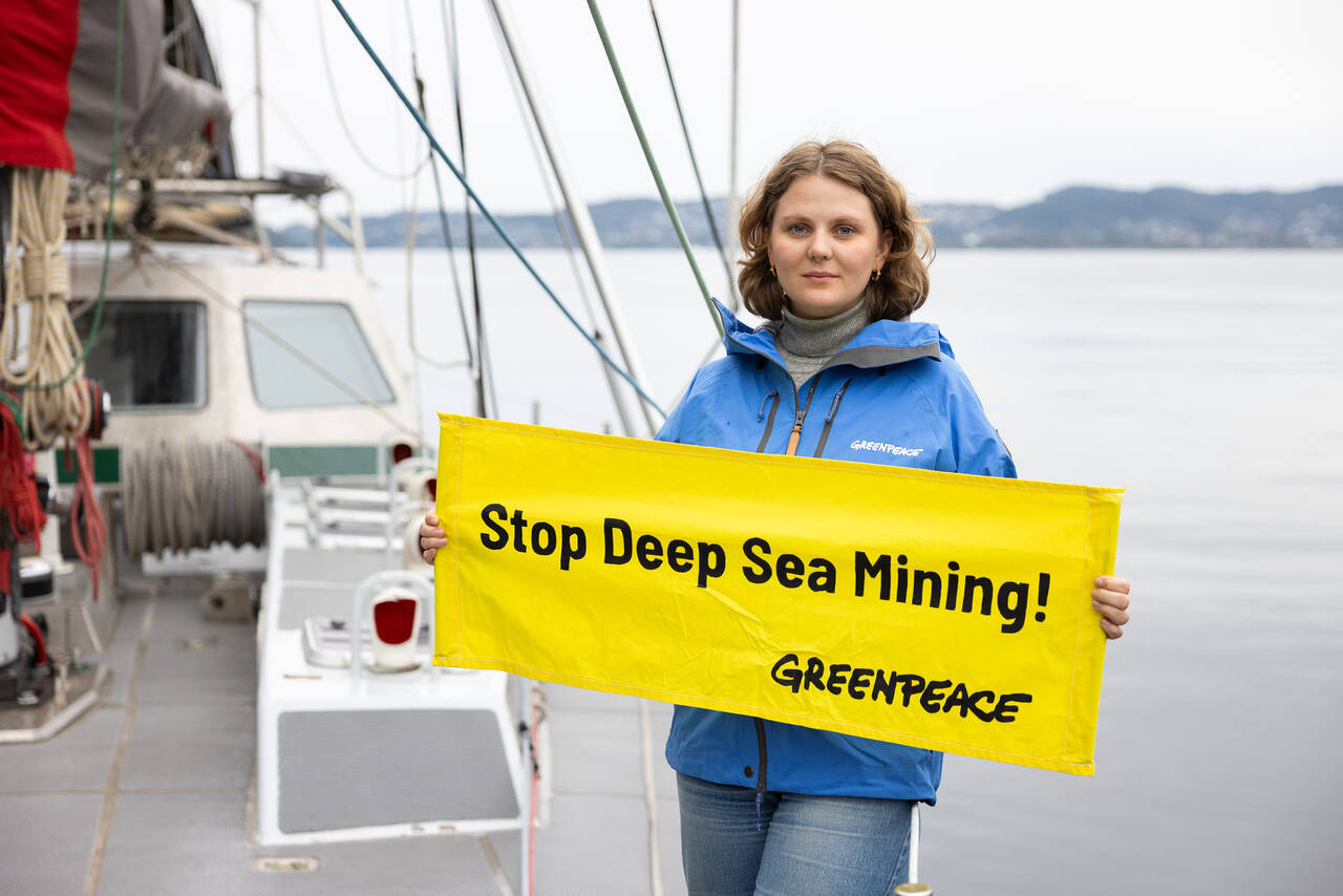 Fagrådgiver for dyphavet i Greenpeace, Haldis Tjeldflaat Helle, ombord på skipet Witness. Sammen med et forskerteam, forsker hun på livet i dyphavet i områdene norske myndigheter har åpnet for gruvedrift. På første dag har teamt observert flere grupper spermhval. Foto: Daniel Müller / Greenpeace