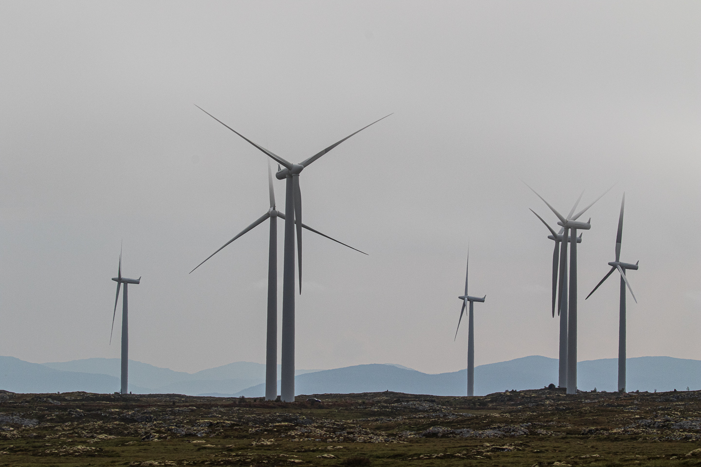 Smøla vindpark fremdeles med forholdsvis lave vindmøller på bare 111 meters høyde. Foto: Steinar Melby, NettStudio AS