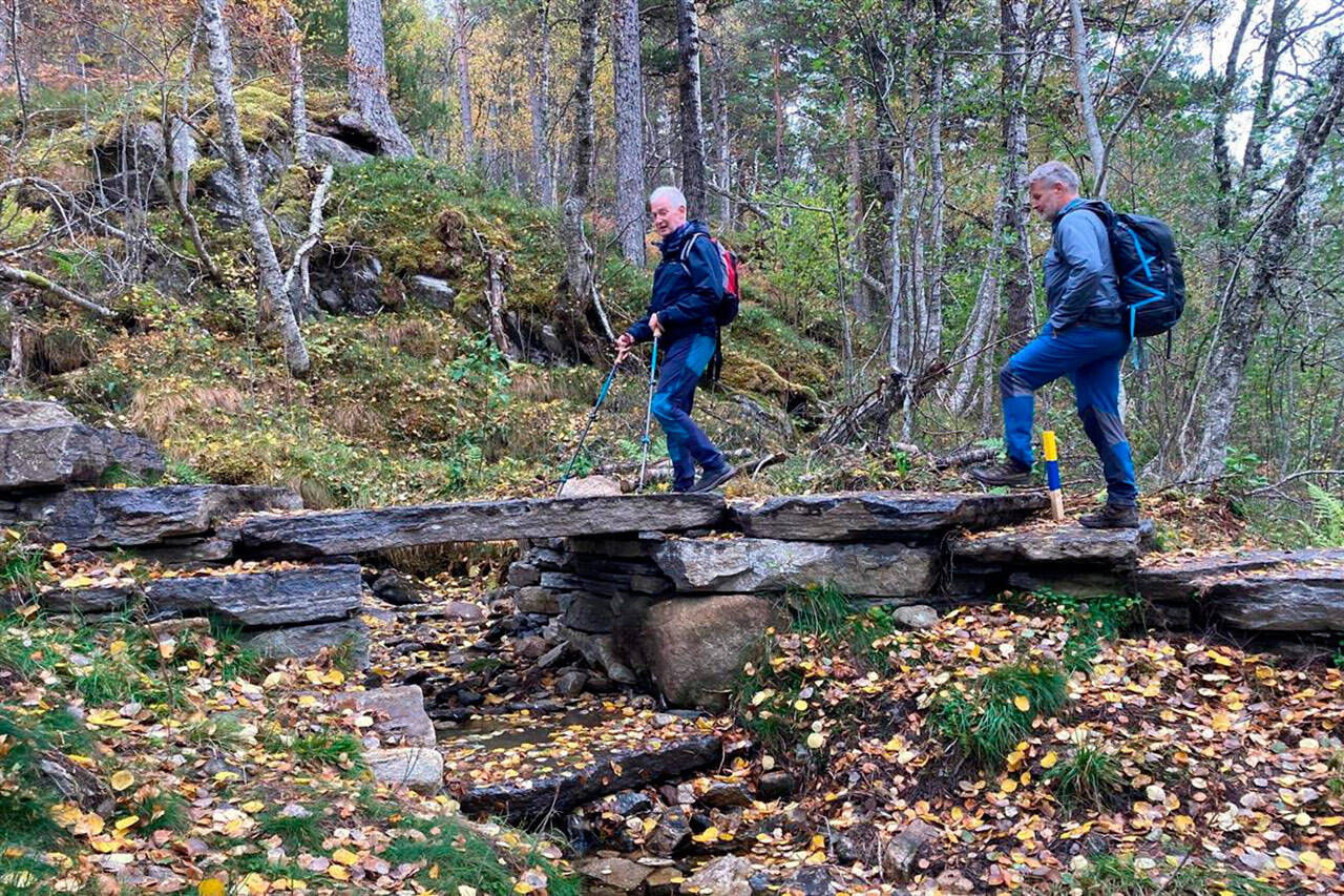 I Friluftslivets år vil det bli arrangert mange aktiviteter utendørs i hele fylket, mange med støtte fra fylkeskommunen. Foto: Hans Roger Tømmervold