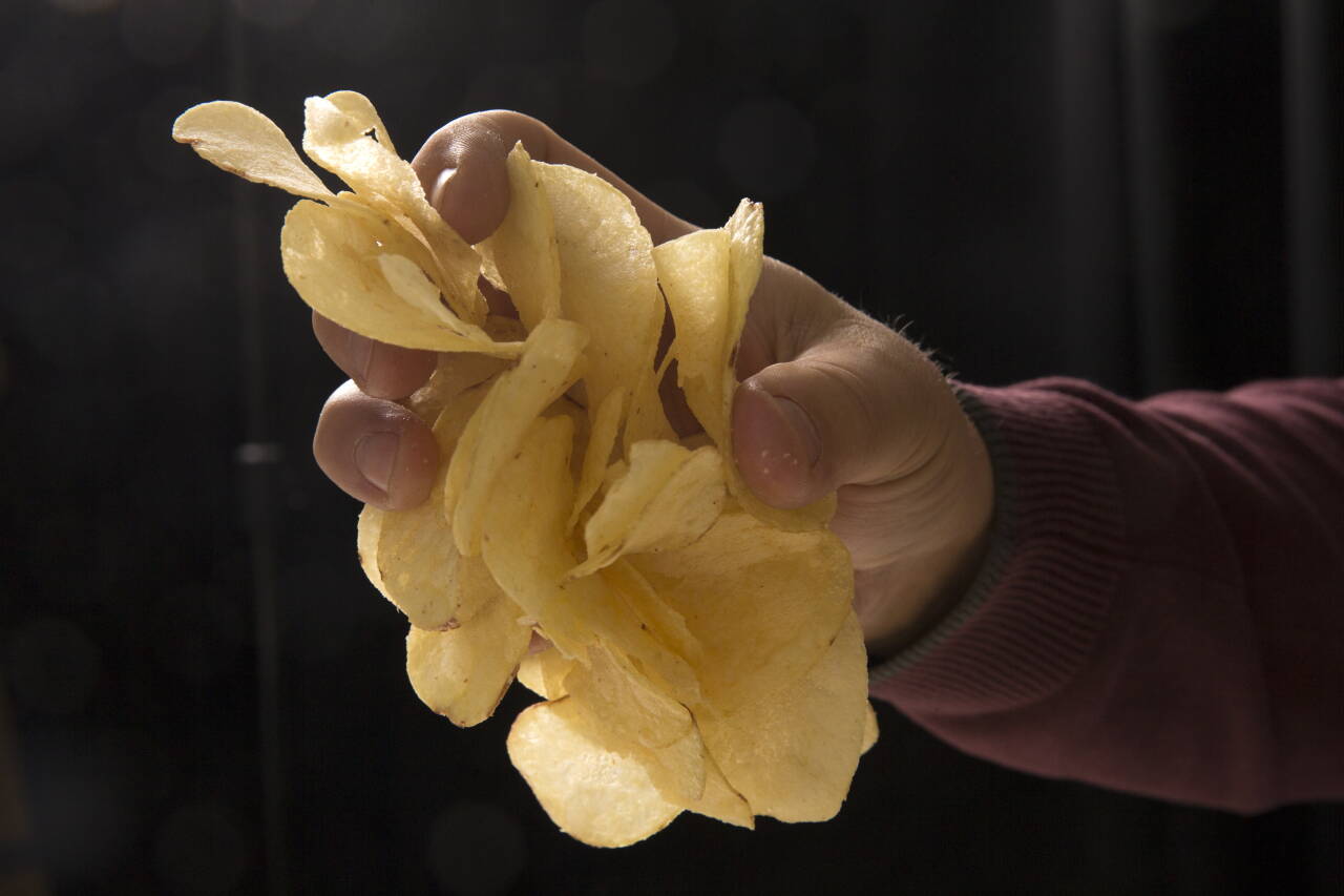 Landbruksdirektoratet innfører tolltiltak for å sikre poteter til produksjon av potetsnacks. Foto: Terje Bendiksby / NTB