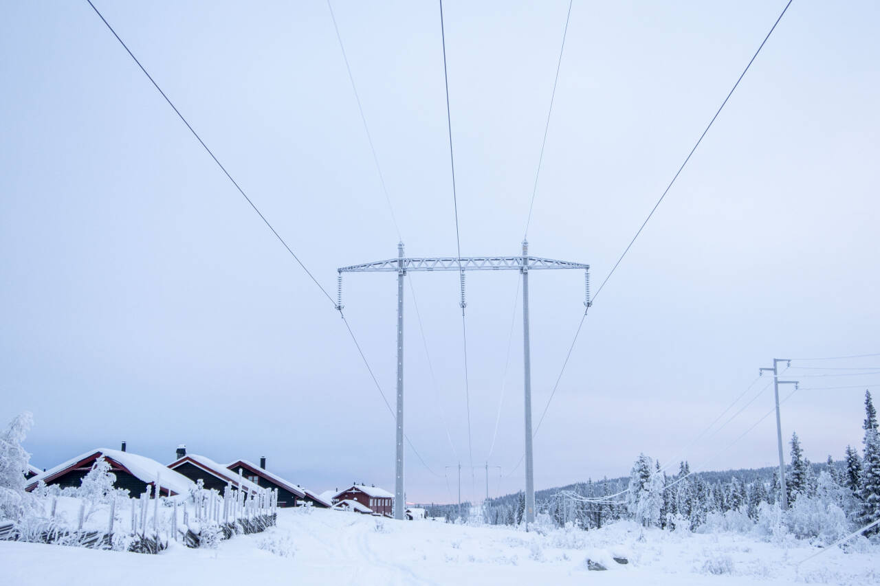 Det er store forskjeller på prisene strømselskapene tilbyr, ifølge Forbrukerrådet. De ber folk sjekke og sammenligne prisene. Illustrasjonsfoto: Paul Kleiven / NTB