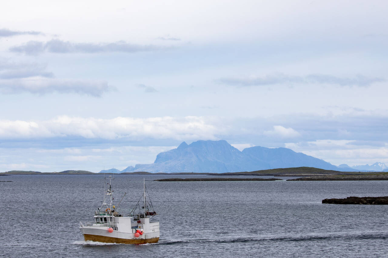 Regjeringen ønsker å prioritere de minste fiskebåtene i den nye kvotemeldingen som ble lagt fram fredag. Foto: Paul Kleiven / NTB