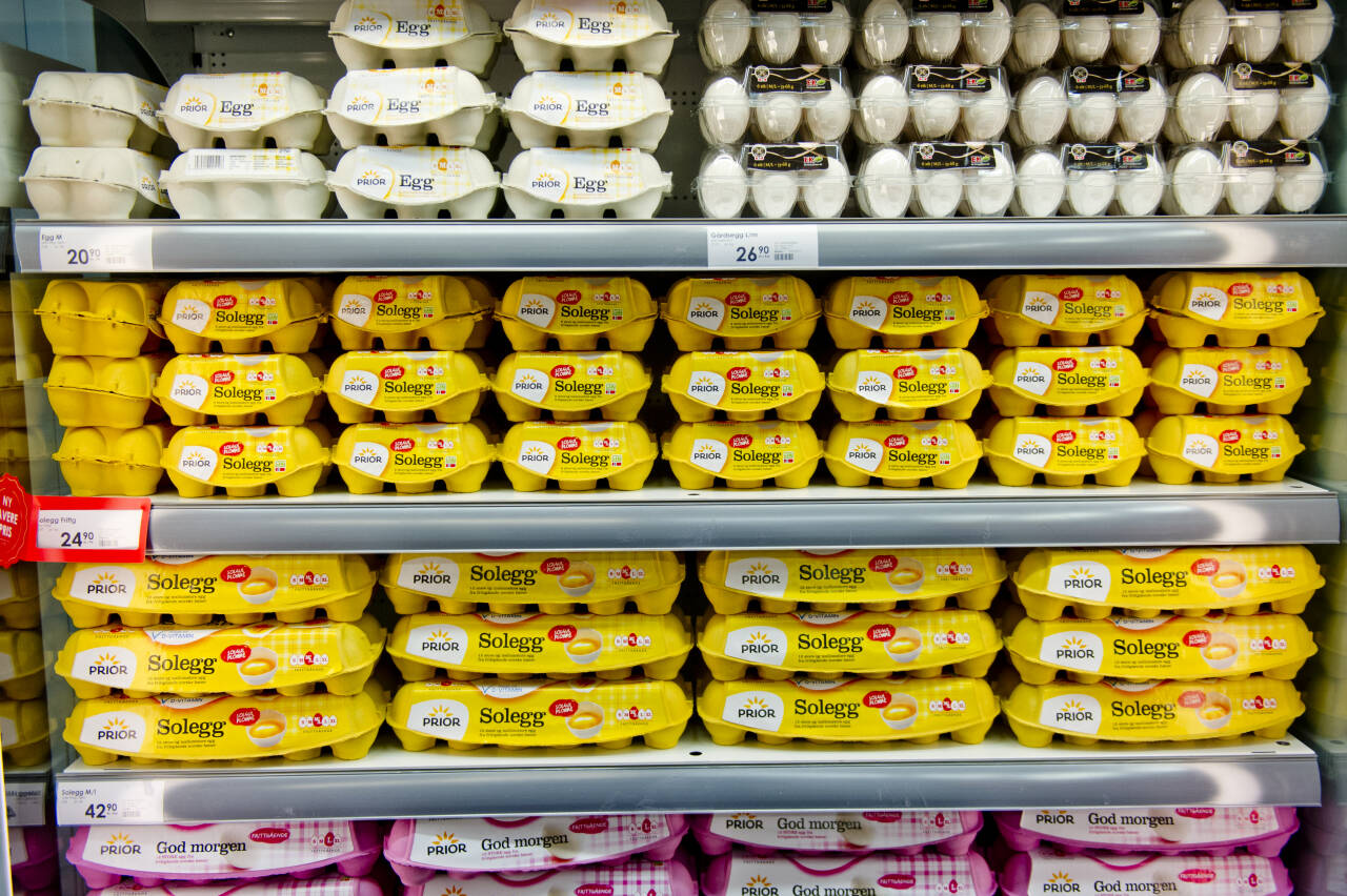 Dette synet møter oss ofte når vi skal kjøpe egg, men akkurat nå er det manko på egg i norske butikker. Foto: Jon Olav Nesvold / NTB