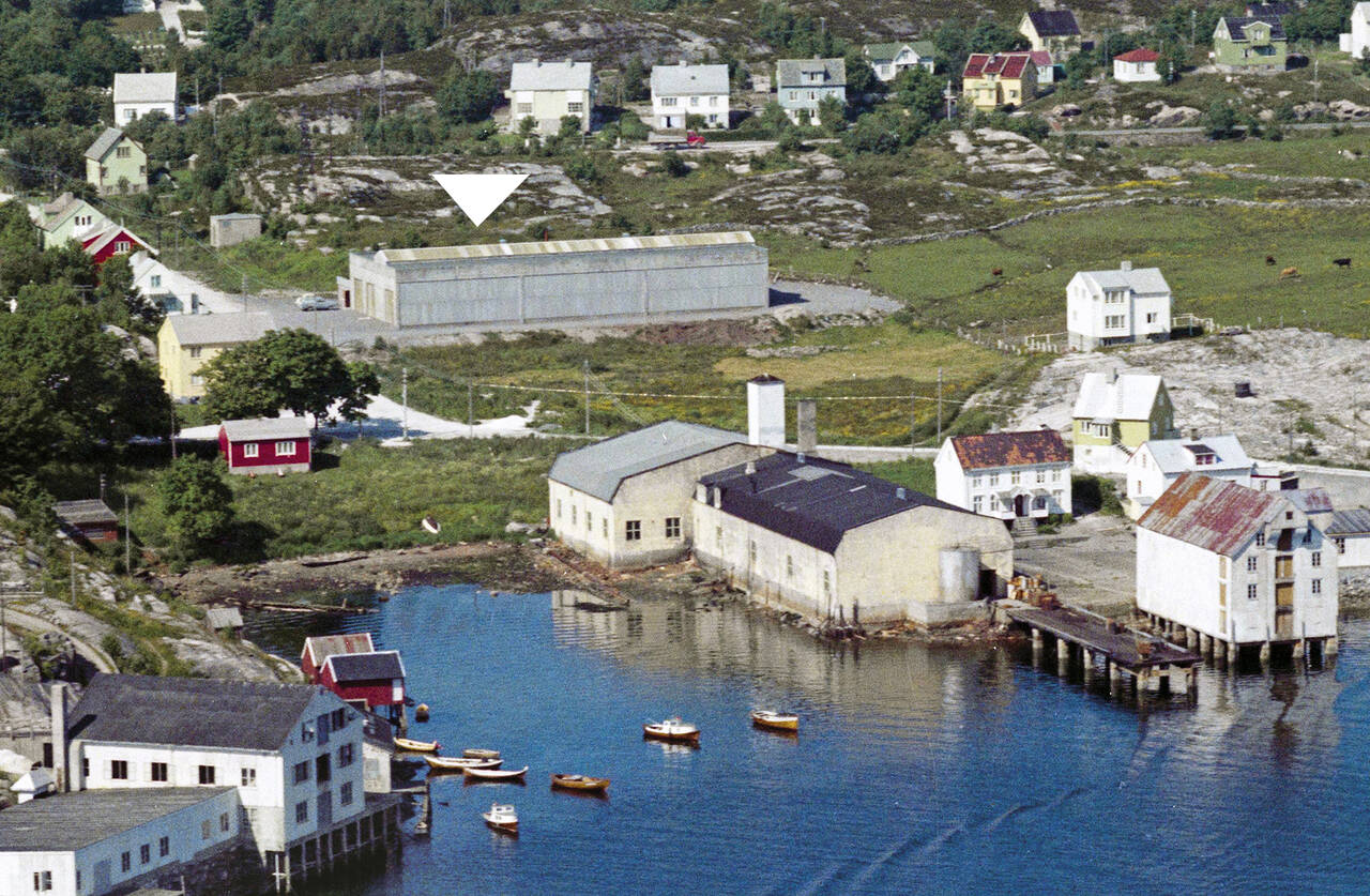 Her ser vi bussfabrikken i Vikan i 1962, da den var ny. Algea Fabrikker litt til høyre i bildet. Foto: Nasjonalbiblioteket