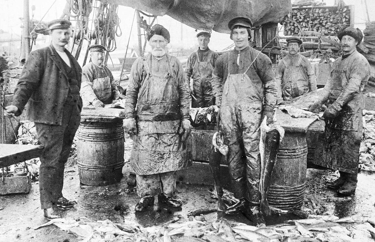 Mannskapet på «Aurora» lastar skrei i Lofoten. Skipper Svein Hamnes til venstre. Foto: Arkiv Historielaget