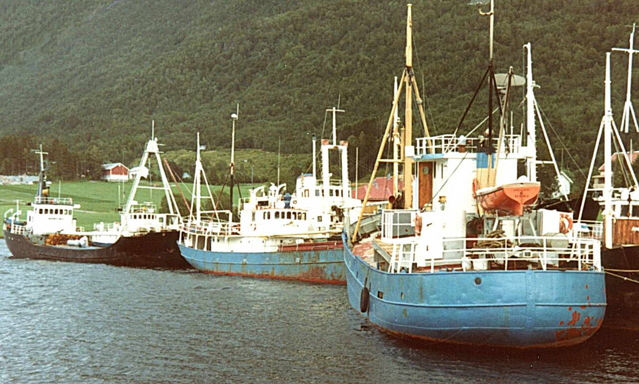 Ilabukta på Bølandet har vore hamn for mange fraktefarty. Her med 8-9 kystgåande skuter rundt 1980. Foto: Helge Inge Bekken