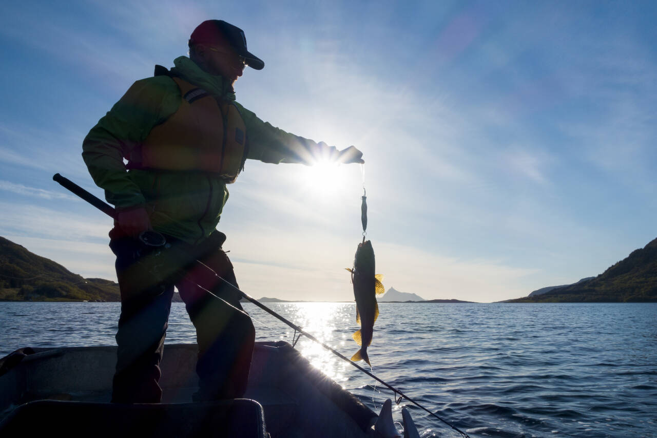 Utførselskvoten tillater i dag turister å ta med seg opp til 18 kilo fiskefilet ut av landet. Bildet viser en mann som fisker i solnedgang på Helgelandskysten. Foto: Gorm Kallestad / NTB