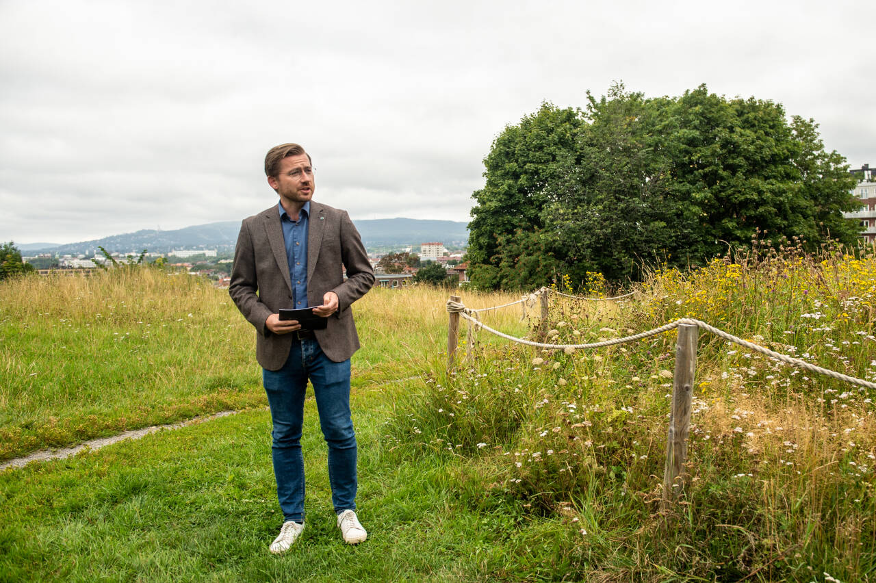 Tidligere klima- og miljøminister Sveinung Rotevatn – nå nestleder i Venstre – er bekymret for den voldsomme hytteutbyggingen. Nå foreslår han et forbud mot nye hyttefelt. Foto: Annika Byrde / NTB